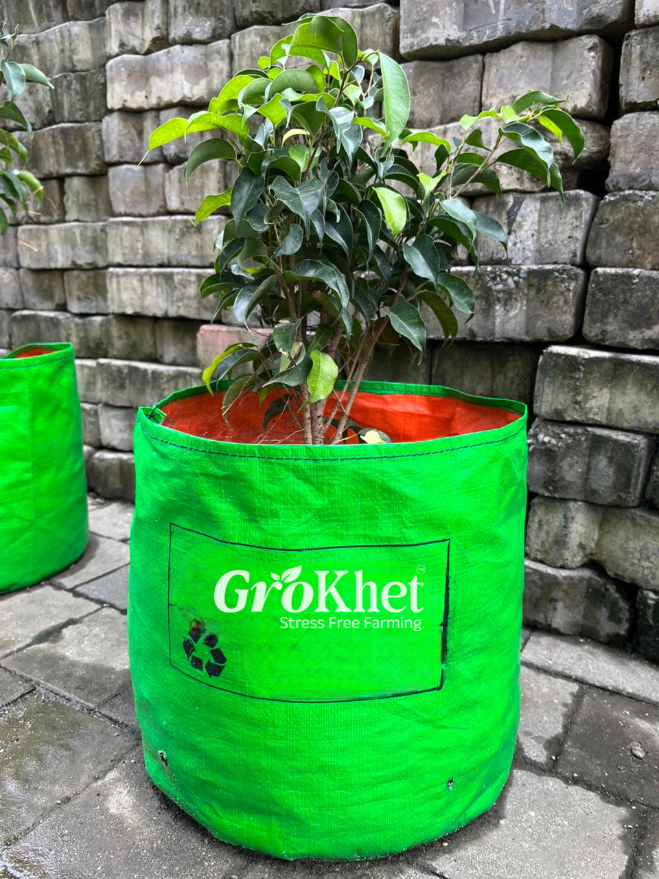 Grow Bag close-up